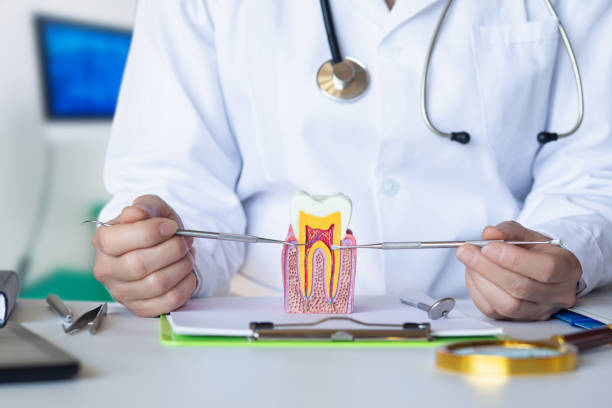 Best After-Hours Dental Trauma Care in Jonestown, PA